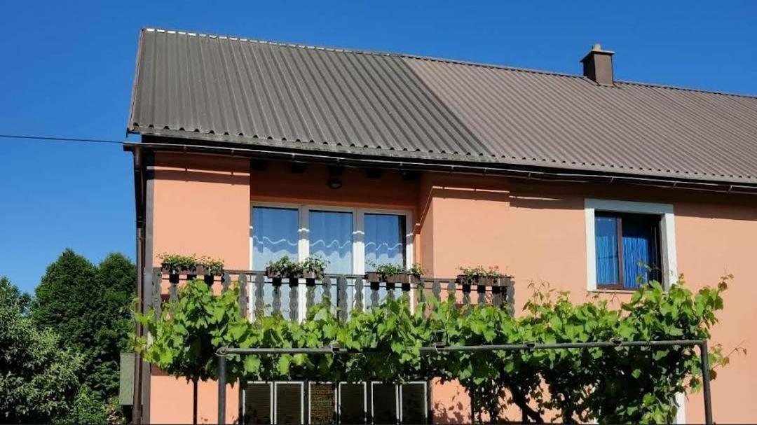 Apartman Niki Lič المظهر الخارجي الصورة